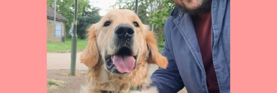 A man and a golden retriever taking a selfie